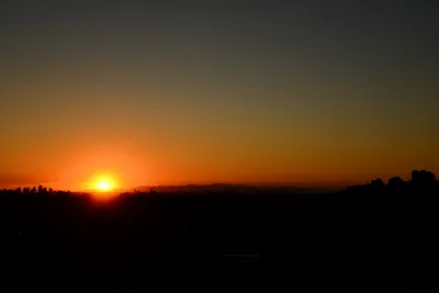 DSC_1474 (Large).JPG